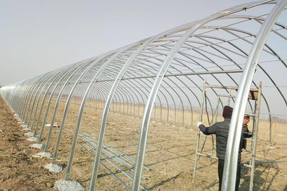 周口-溫室大棚管